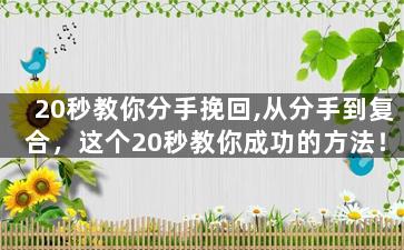 20秒教你分手挽回,从分手到复合，这个20秒教你成功的方法！