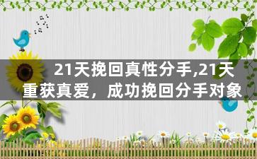 21天挽回真性分手,21天重获真爱，成功挽回分手对象