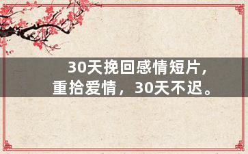 30天挽回感情短片,重拾爱情，30天不迟。