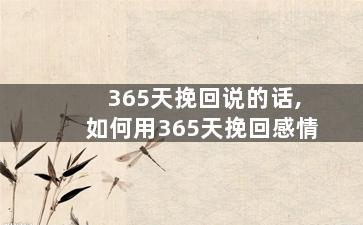 365天挽回说的话,如何用365天挽回感情