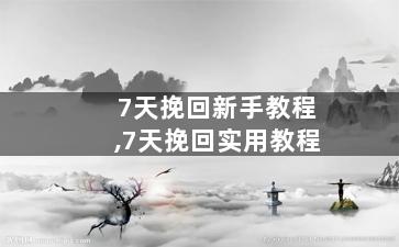7天挽回新手教程,7天挽回实用教程