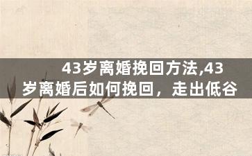 43岁离婚挽回方法,43岁离婚后如何挽回，走出低谷