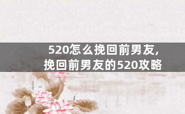 520怎么挽回前男友,挽回前男友的520攻略