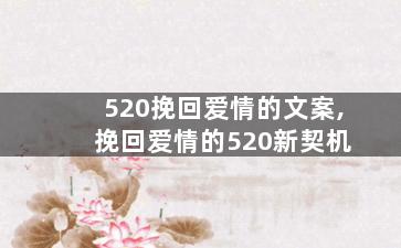 520挽回爱情的文案,挽回爱情的520新契机