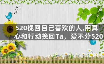 520挽回自己喜欢的人,用真心和行动挽回Ta，爱不分520