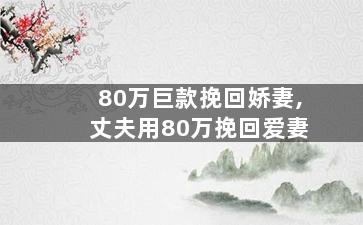 80万巨款挽回娇妻,丈夫用80万挽回爱妻