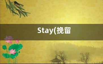Stay(挽留