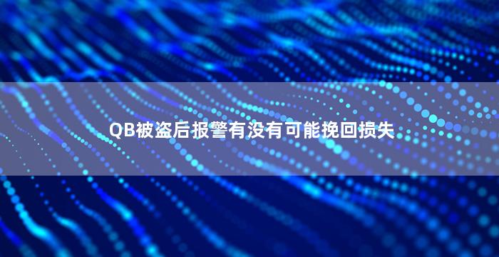 QB被盗后报警有没有可能挽回损失
