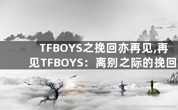 TFBOYS之挽回亦再见,再见TFBOYS：离别之际的挽回