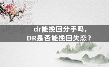 dr能挽回分手吗,DR是否能挽回失恋？