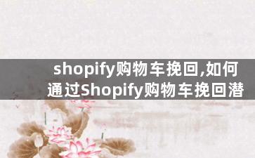 shopify购物车挽回,如何通过Shopify购物车挽回潜在顾客？