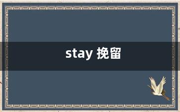 stay 挽留