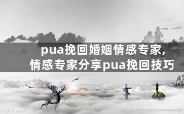 pua挽回婚姻情感专家,情感专家分享pua挽回技巧