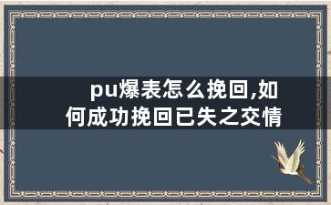 pu爆表怎么挽回,如何成功挽回已失之交情
