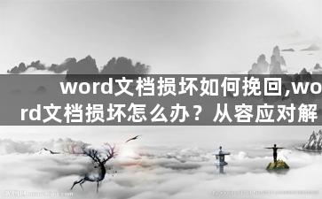 word文档损坏如何挽回,word文档损坏怎么办？从容应对解决！