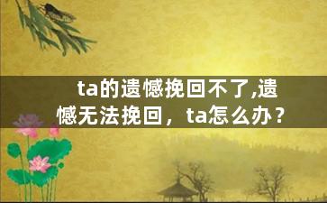 ta的遗憾挽回不了,遗憾无法挽回，ta怎么办？