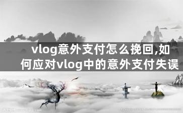 vlog意外支付怎么挽回,如何应对vlog中的意外支付失误