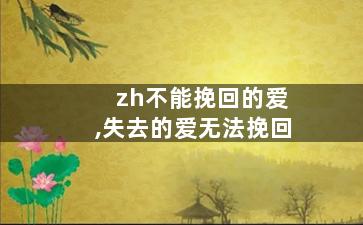 zh不能挽回的爱,失去的爱无法挽回