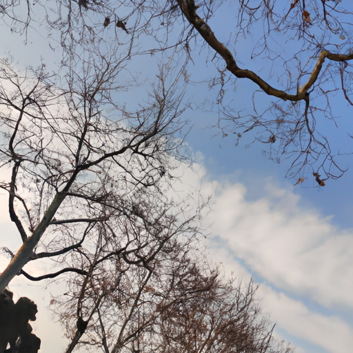 人间如何挽回我的爱（人间如何挽回我的爱是什么歌）