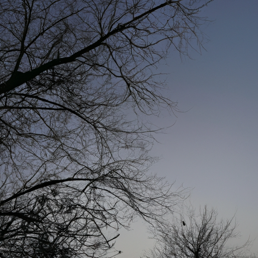 挽回你曾经做的傻事