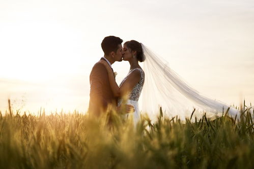 怎么挽回金鱼男老婆,如何成功挽回你的伴侣？