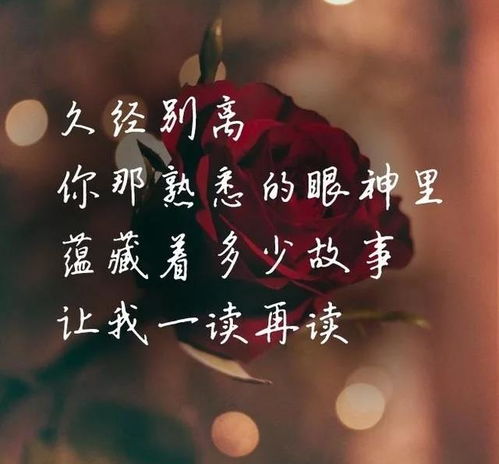 只要能联系就能挽回吗，如何挽回失去联系的人？