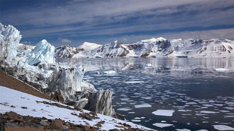 看到冰山灾难怎么挽回,挽救冰山灾难的措施