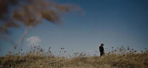 挽回成功的人的心理,重新得到：分析挽回成功者的心态