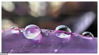 感情破裂不能挽回,挽回无望，感情已破