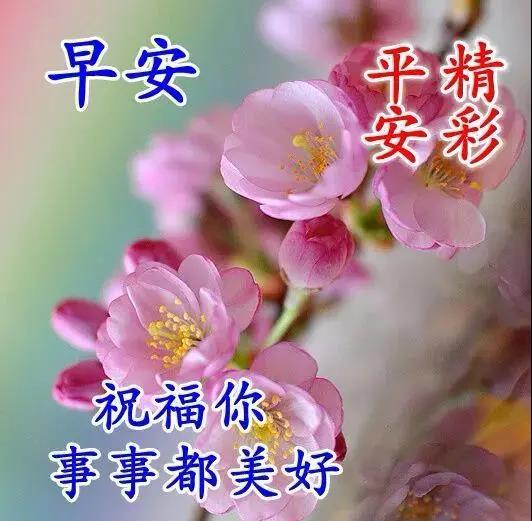 挽回前女友春节祝福,用温馨祝福挽回前女友