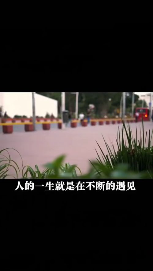 大连有没有挽回爱情，如何把失去的爱情重新找回？