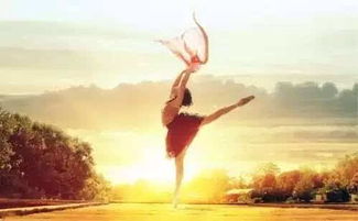 深圳恋爱挽回机构,深圳情感挽回机构，助您成功挽回爱情