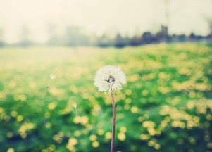 过度付出分手怎么挽回,分手后如何挽回过度付出？