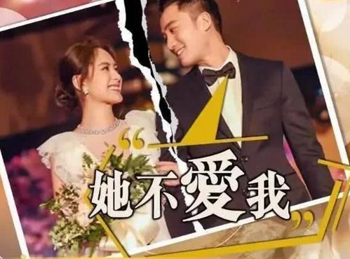 重生挽回前世老公小说，前夫归来：婚姻再续