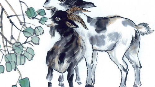 泊头挽回夫妻感情,泊头夫妻重修旧好