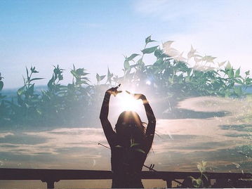 如何挽回双子友情呢,挽回双子友情的有效方法