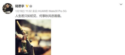 废物测试挽回前男友,挽回前男友，废物测试大作战