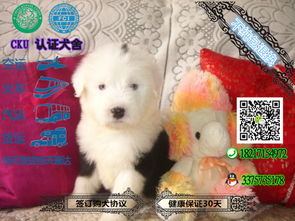 打了古牧怎么挽回,失心古牧情感挽回技巧