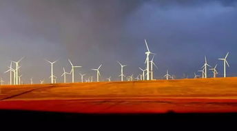 后来挽回信誉的,重修美誉：奋力挽回后来居上