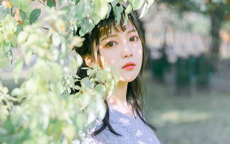 楚分手挽回白羊射手,挽回白羊射手，楚成功了？