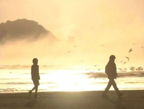 挽回朋友友谊的歌曲,寻回友谊的音乐