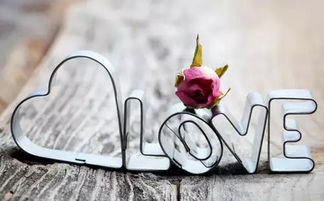 被伤了心怎么挽回，怎样挽回感情受到伤害的心？