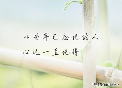 挽回心累了的话,挽回疲惫心灵的有效方法