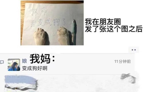 怎样挽回朋友的诗句,重修旧好如何忘却过去