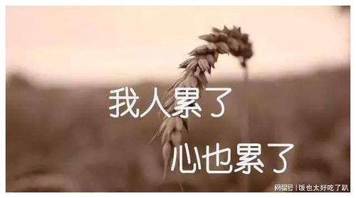 挽回出轨男友的技巧,技巧挽回出轨男友