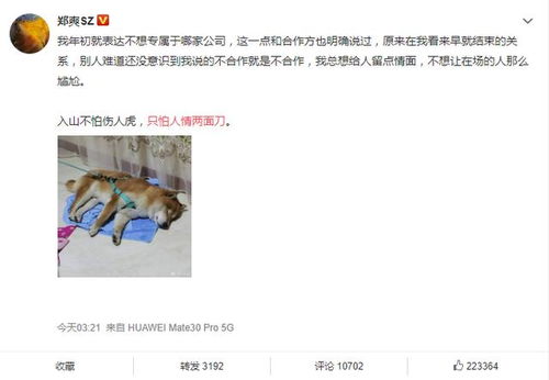 表白尴尬之后如何挽回,尴尬表白后的救赎指南