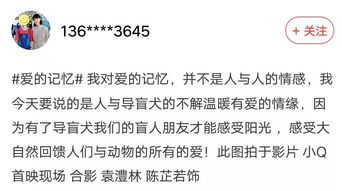 挽回信结尾文案英语,重获爱的信，巧用技巧趁早挽回