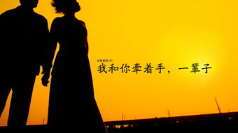 难以挽回的伤害句子,伤害已成定局：题目改写