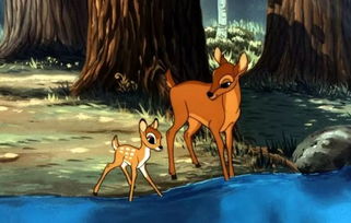 小鹿乱撞30天挽回,小鹿乱撞30天后的感情奇迹