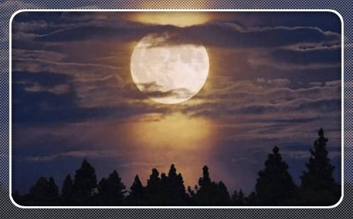 月夜挽回靠谱么,挽回爱情，月夜是否奏效？